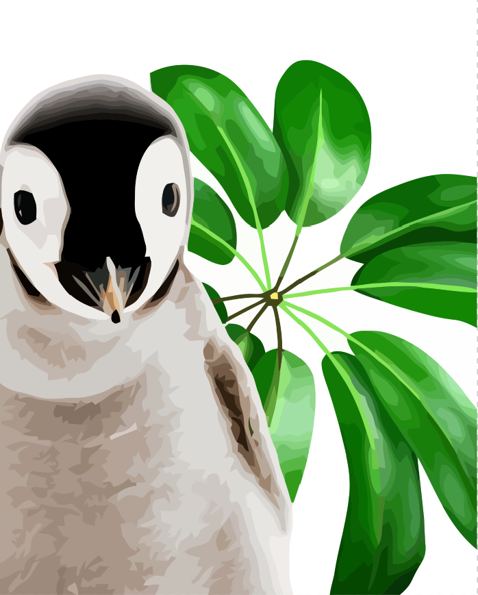 Penguin with a plant in the background