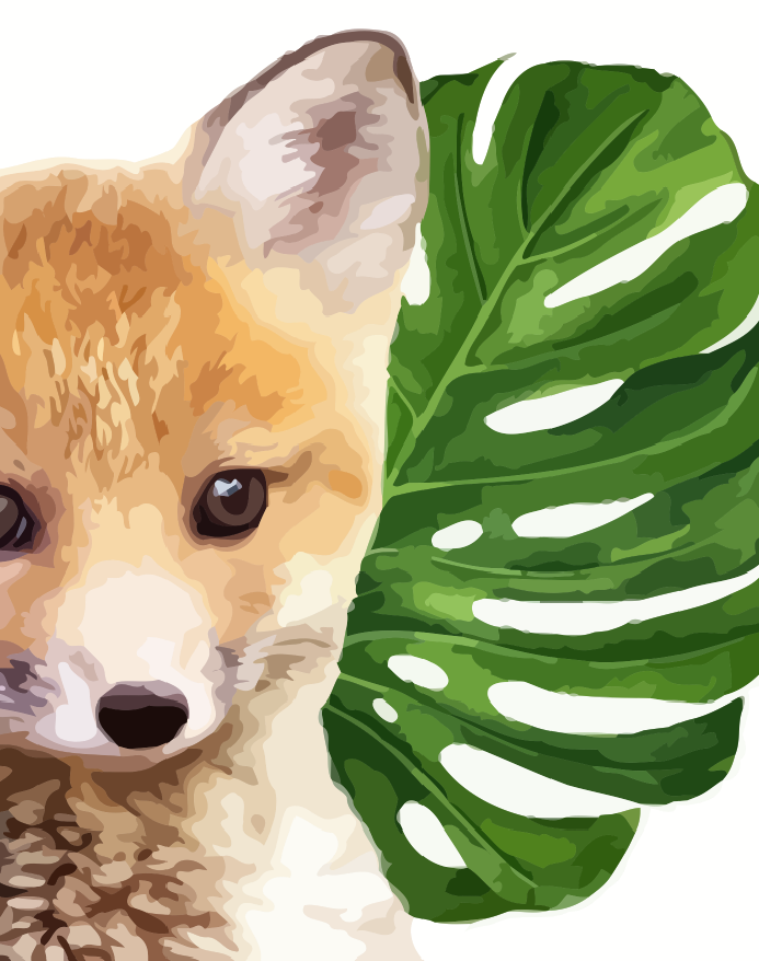 Illustration of a fox with a large green leaf