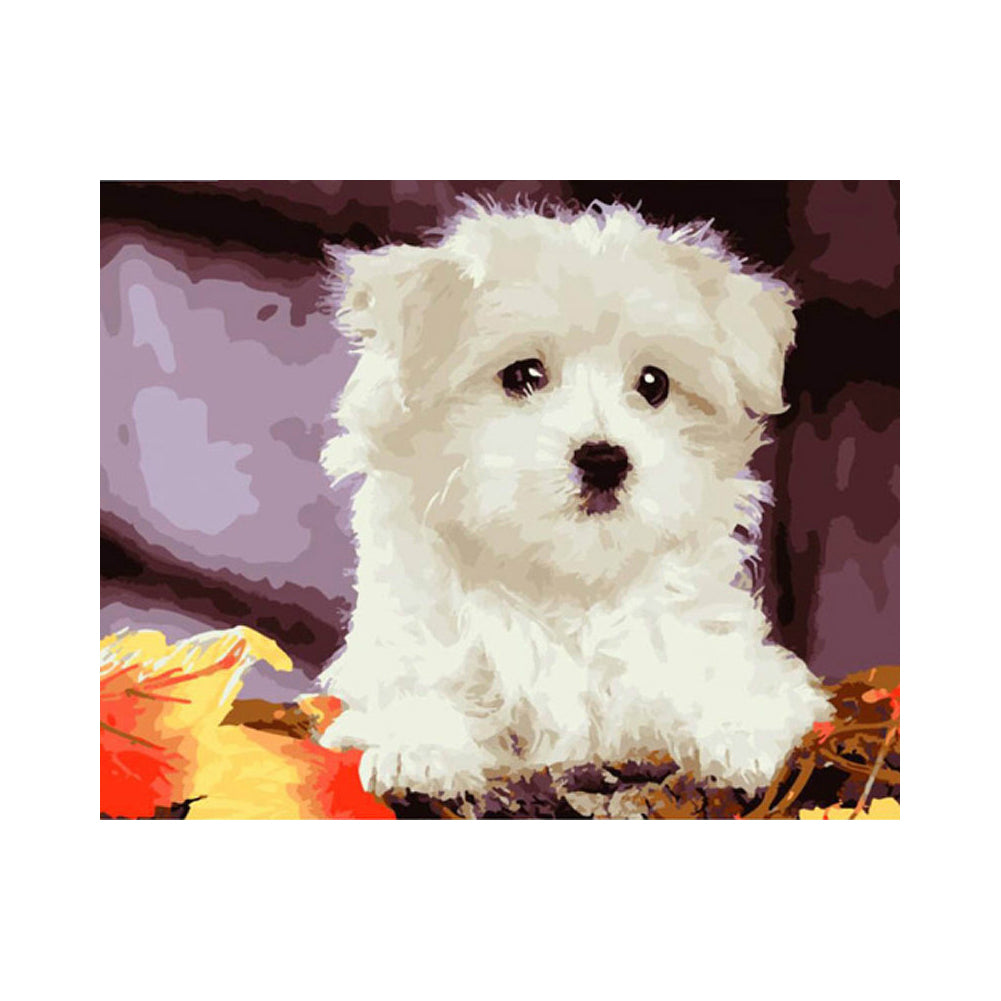 Little White Puppy - 40x50 cm paint by numbers kit