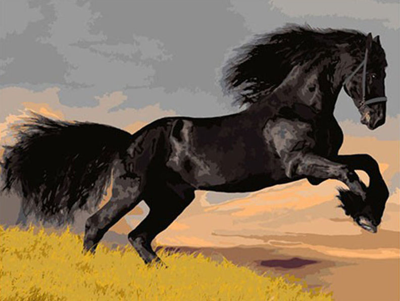 Majestic Black Horse - 40x50 cm paint by numbers kit