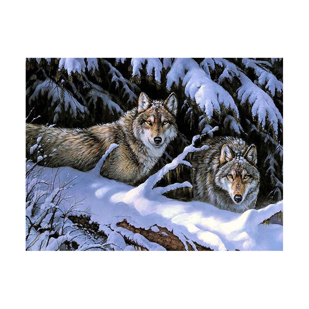 Wolves in the Snowy Forest - 40x50 cm paint by numbers kit