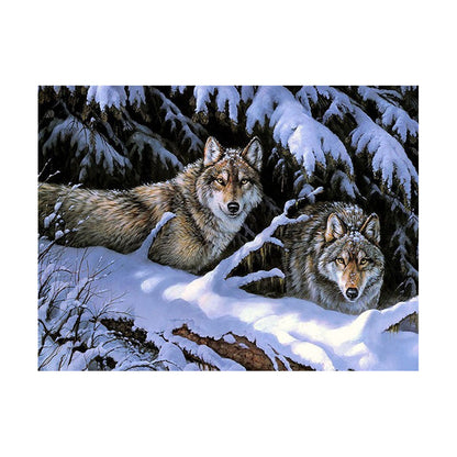 Wolves in the Snowy Forest - 40x50 cm paint by numbers kit