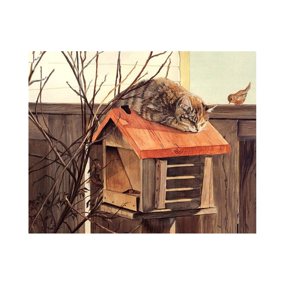 Cat and Little Bird - 40x50 cm paint by numbers kit