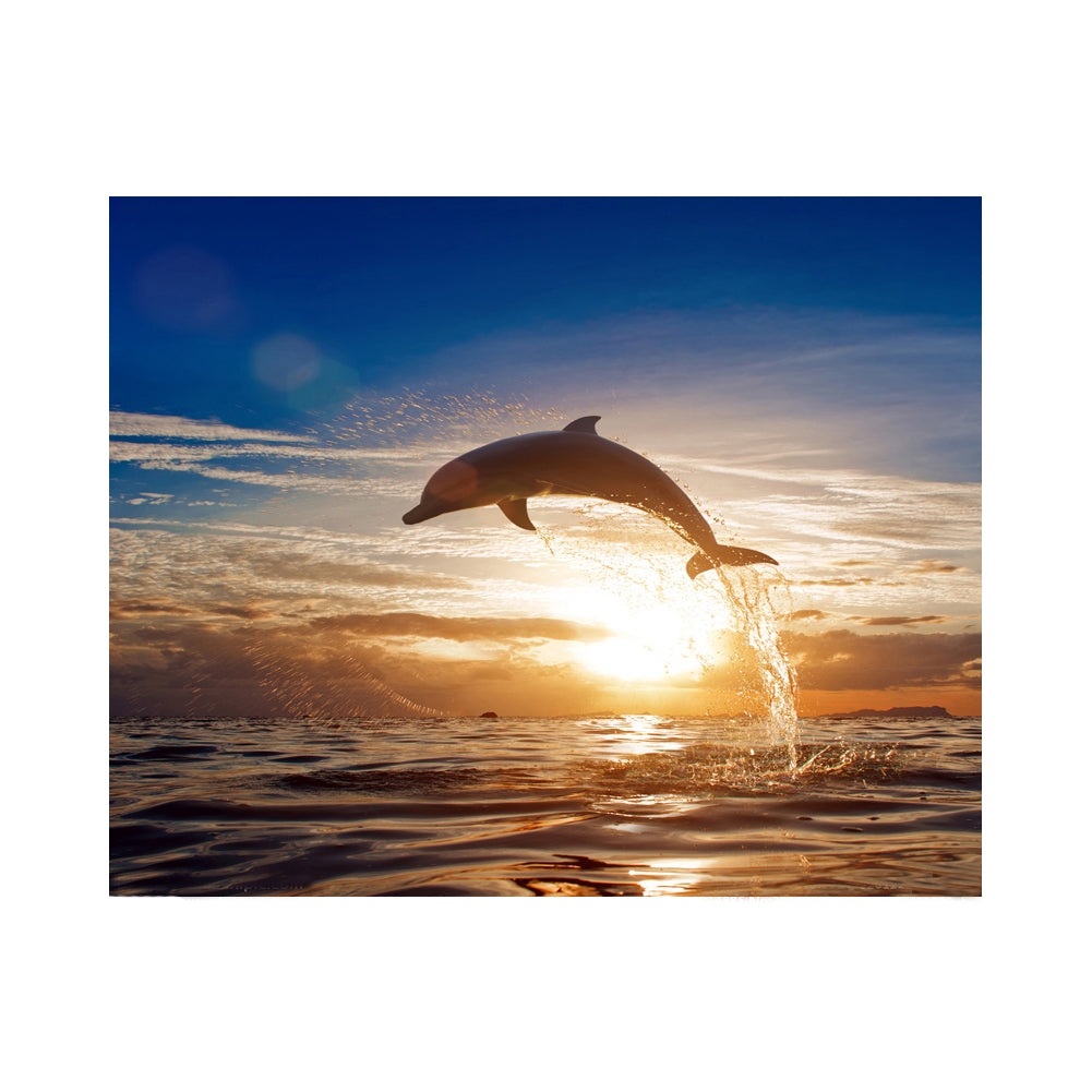 Golden Dolphin Sunset - 40x50 cm paint by numbers kit