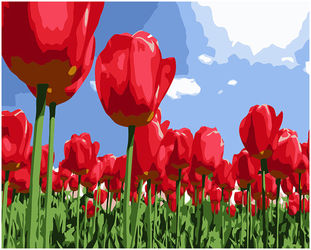 Red Tulip Meadow - 40x50 cm paint by numbers kit