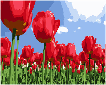 Red Tulip Meadow - 40x50 cm paint by numbers kit
