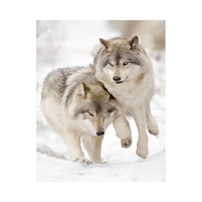 Snow Wolf Companions - 40x50 cm paint by numbers kit