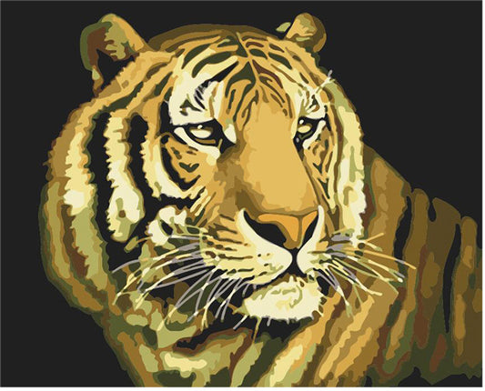 Golden Tiger Portrait - 40x50 cm paint by numbers kit