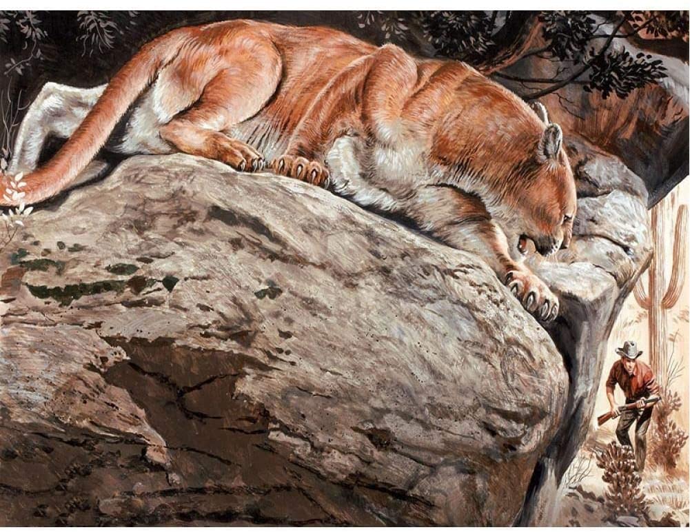 Mountain Lion on the Rocks - 40x50 cm paint by numbers kit