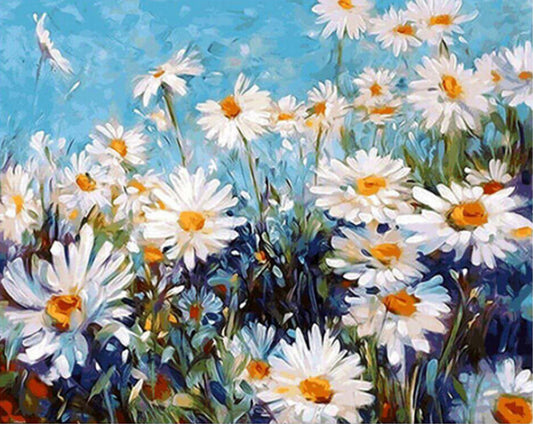 Wild White Daisies