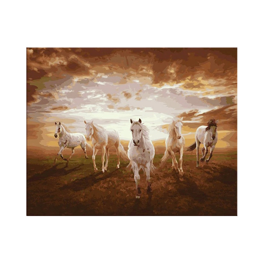 White Horses at Sunset - 40x50 cm paint by numbers kit