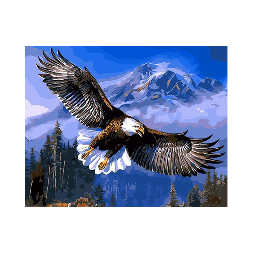 Soaring Bald Eagle - 40x50 cm paint by numbers kit