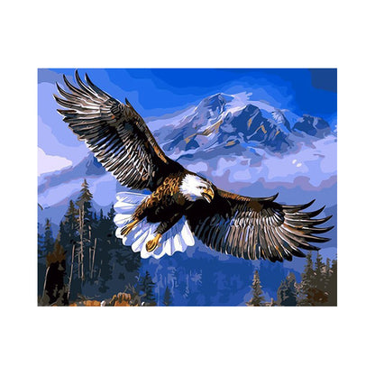 Soaring Bald Eagle - 40x50 cm paint by numbers kit