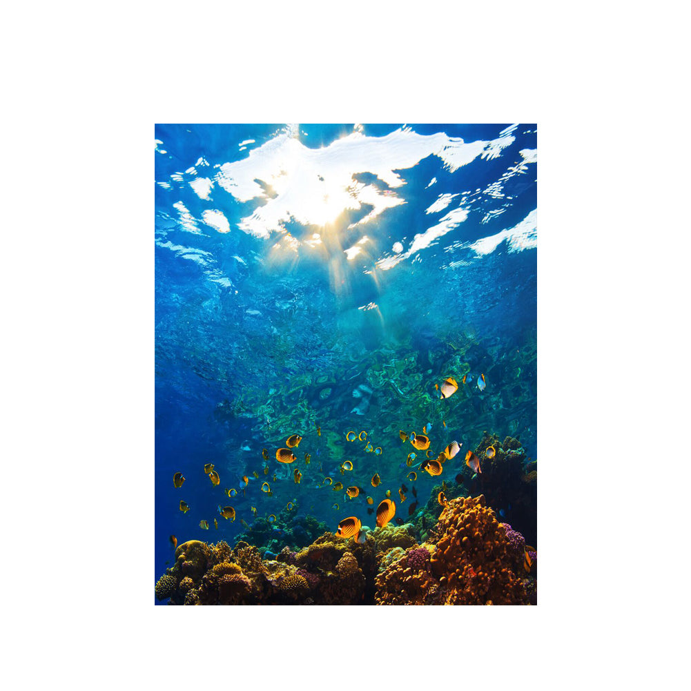 Sunlit Coral Reef - 40x50 cm paint by numbers kit
