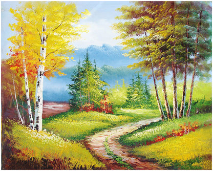 Sunlit Birch Forest Path - 40x50 cm paint by numbers kit