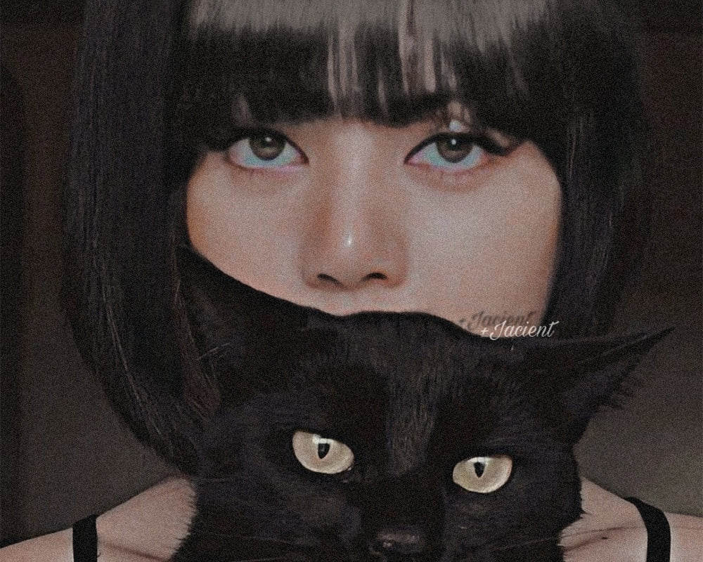 Mysterious Woman and Black Cat - 40x50 cm paint by numbers kit