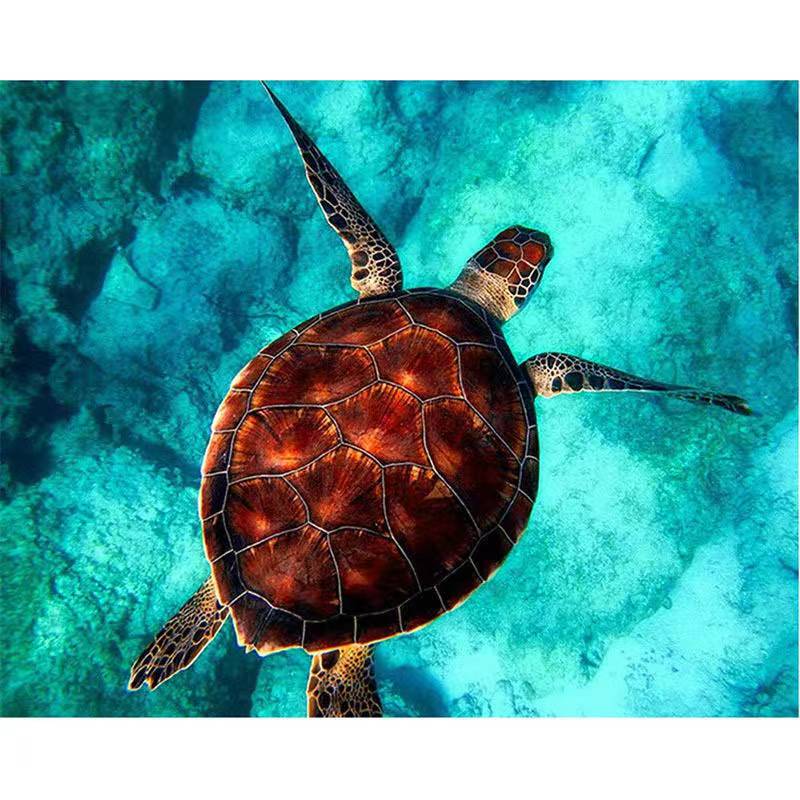 Sea Turtle in Turquoise Waters - 40x50 cm paint by numbers kit