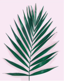 Emerald Palm Frond - 40x50 cm paint by numbers kit