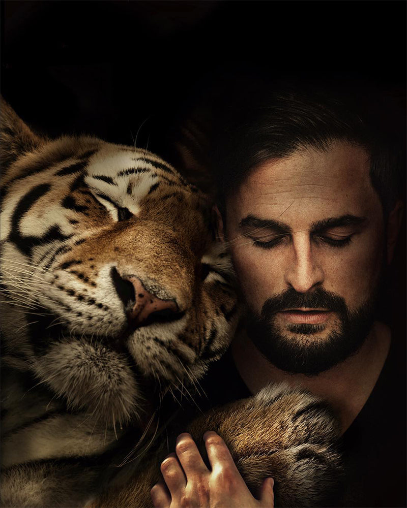 Silent Tiger Bond - 40x50 cm paint by numbers kit