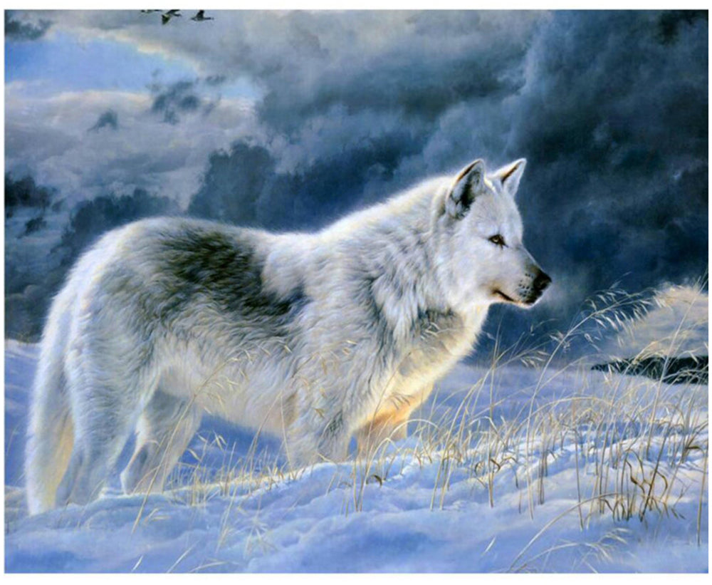 White Wolf in Winter - 40x50 cm paint by numbers kit