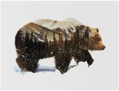 Bear Mountain Double Exposure - 40x50 cm paint by numbers kit