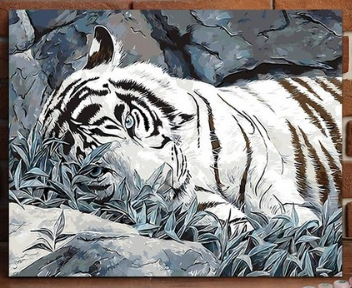 Resting White Tiger - 40x50 cm paint by numbers kit