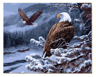 Eagles Above the Snowy Valley - 40x50 cm paint by numbers kit