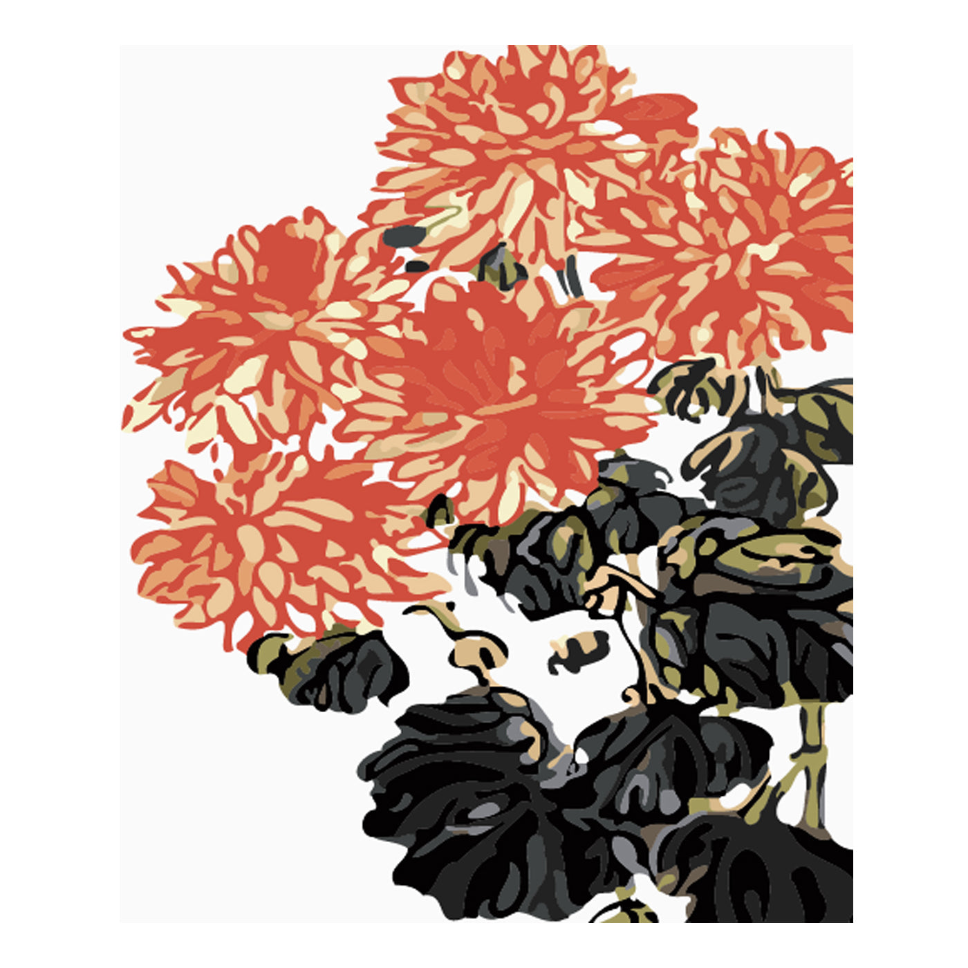 Coral Chrysanthemum Blooms - 40x50 cm paint by numbers kit