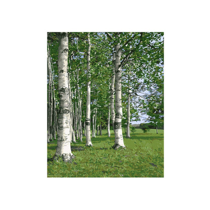 Peaceful Birch Forest - 40x50 cm paint by numbers kit