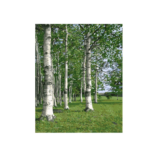 Peaceful Birch Forest - 40x50 cm paint by numbers kit