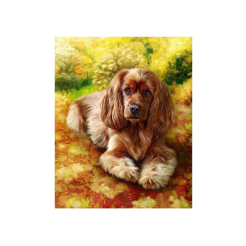 Golden Cocker Spaniel - 40x50 cm paint by numbers kit