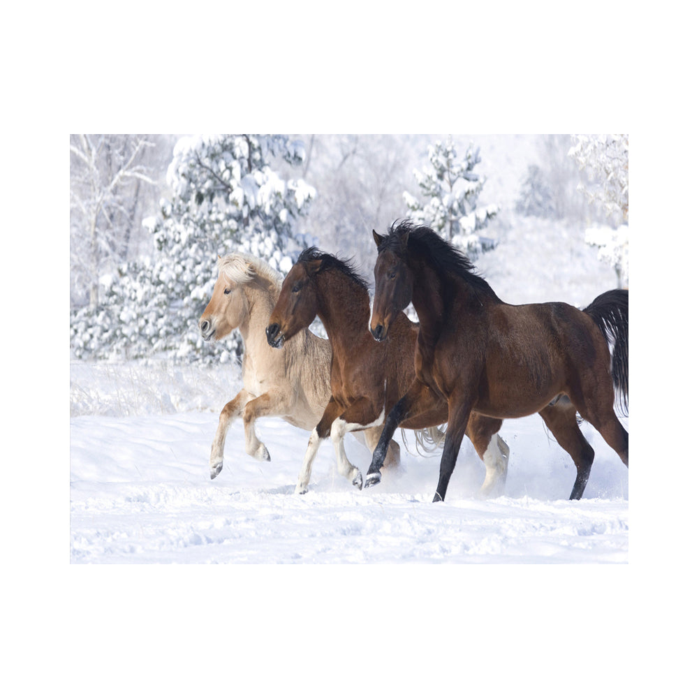 Horses Running Through Snow - 40x50 cm paint by numbers kit