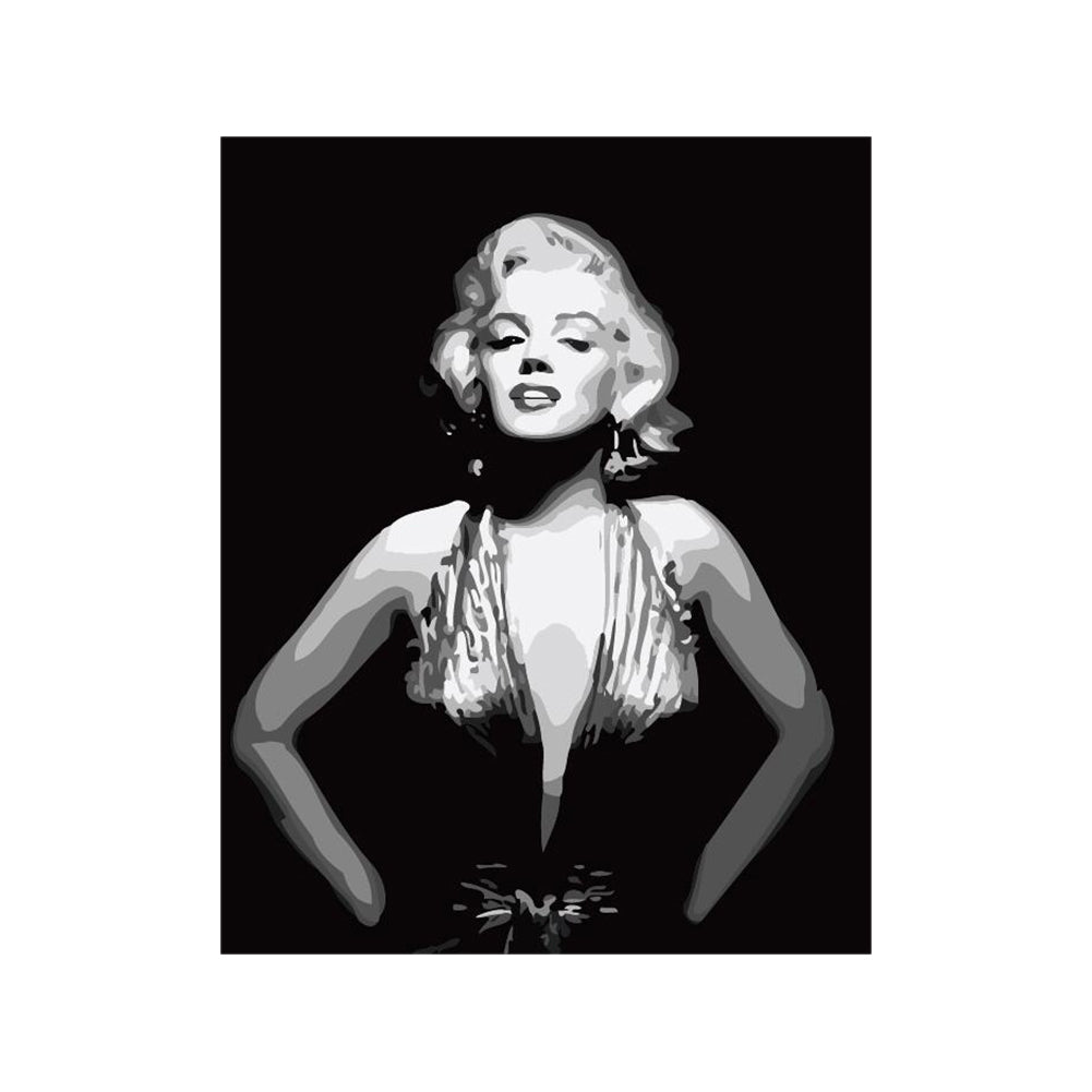 Classic Hollywood Elegance - 40x50 cm paint by numbers kit