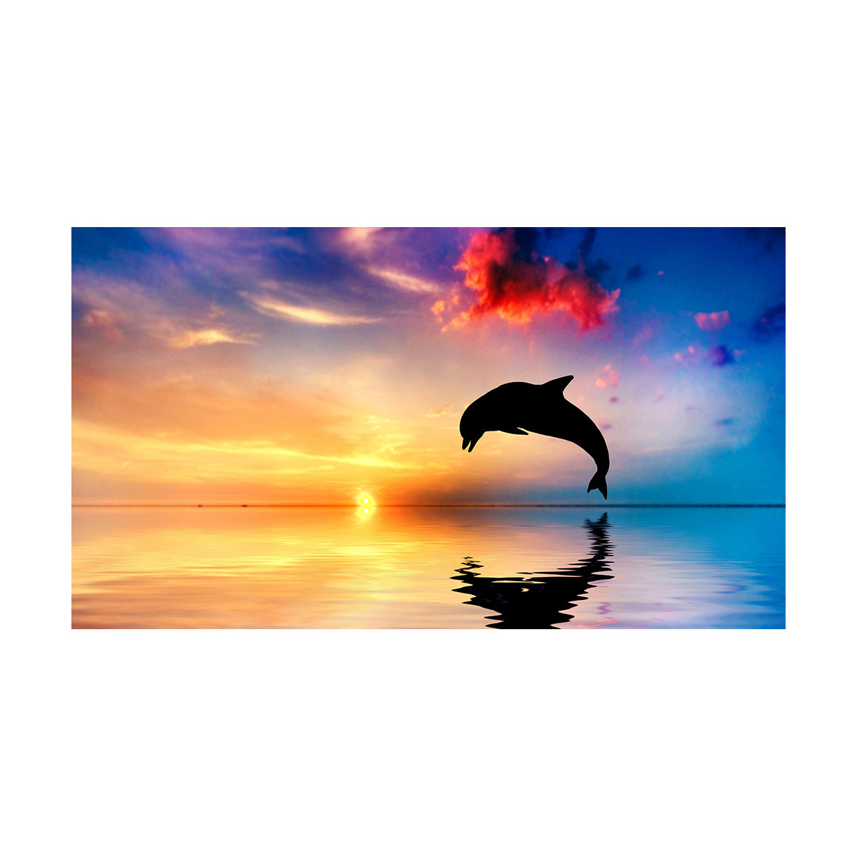 Dolphin Sunset Leap - 40x50 cm paint by numbers kit