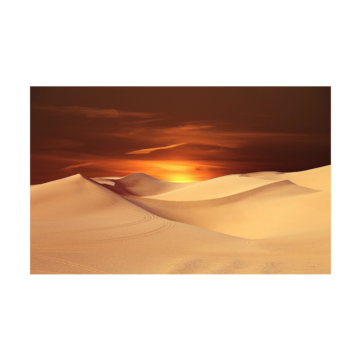 Golden Desert Twilight - 40x50 cm paint by numbers kit