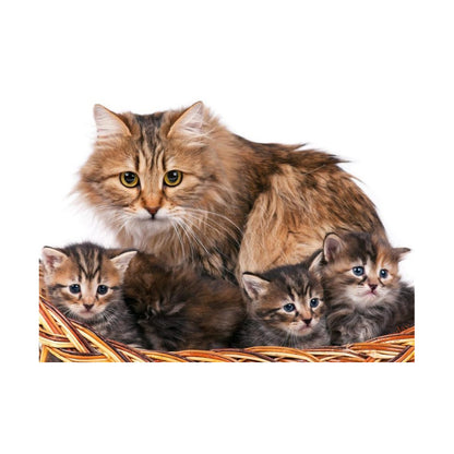 Mother Cat and Kittens - 40x50 cm paint by numbers kit