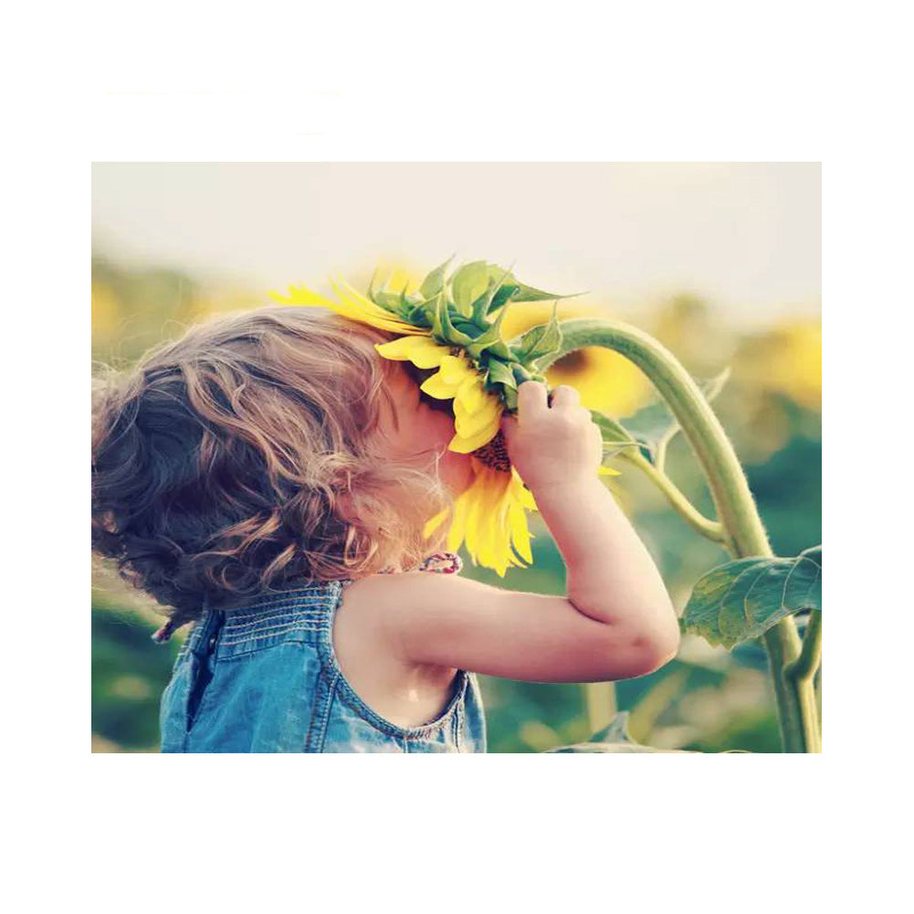 Sunflower Curiosity - 40x50 cm paint by numbers kit