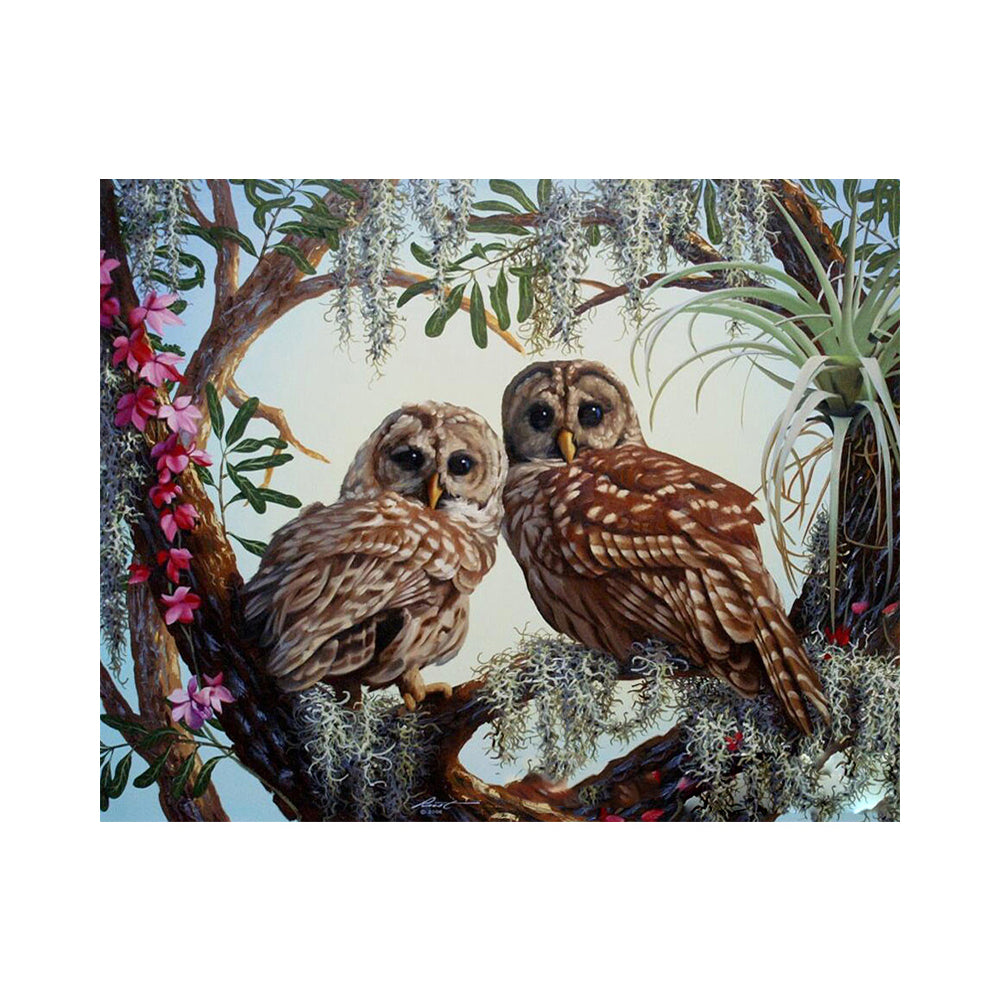 Woodland Owl Pair - 40x50 cm paint by numbers kit