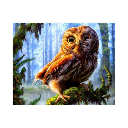 Forest Guardian Owl - 40x50 cm paint by numbers kit