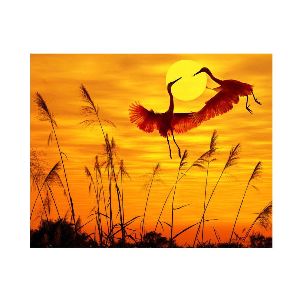 Golden Sunset Cranes - 40x50 cm paint by numbers kit