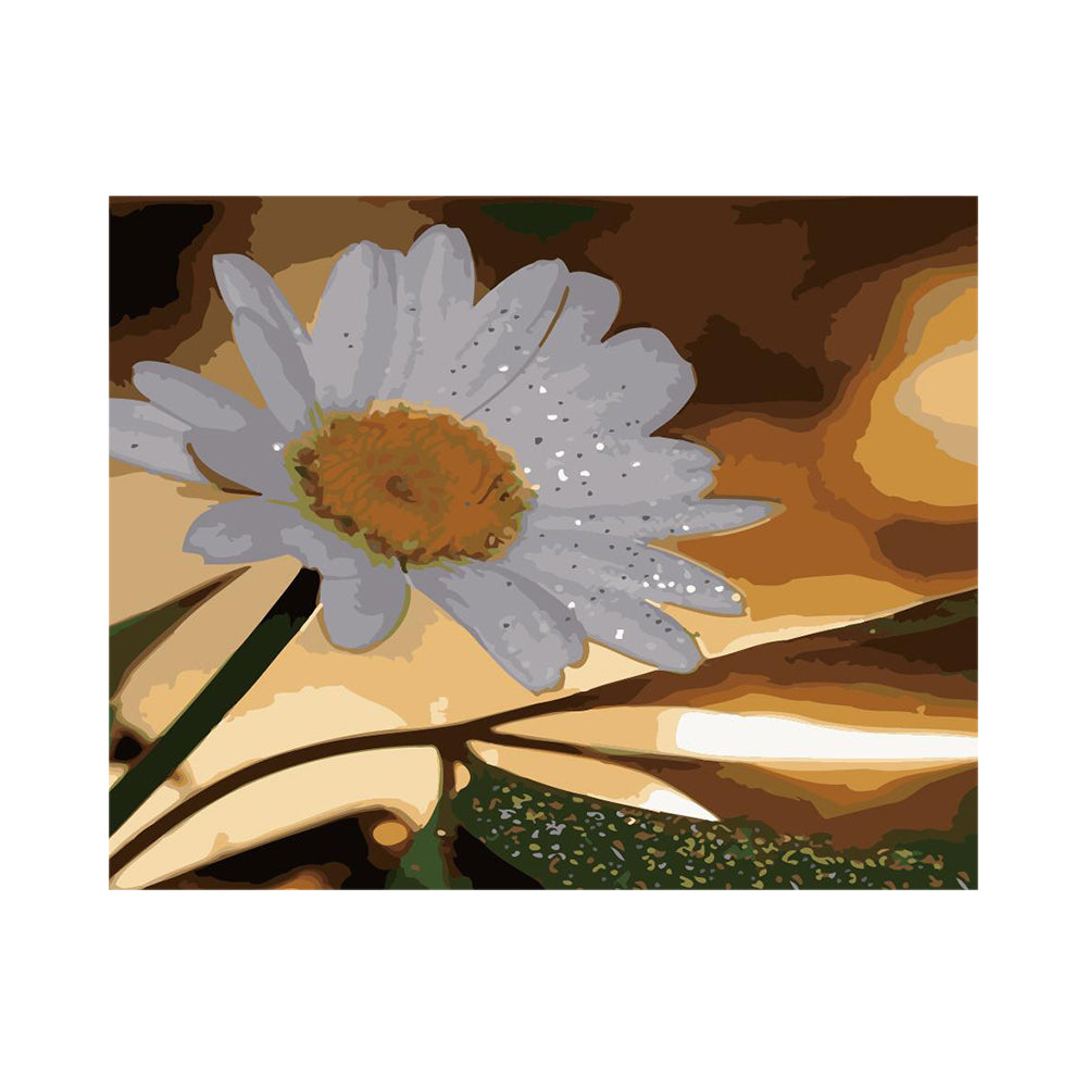 White Daisy Close-Up - 40x50 cm paint by numbers kit