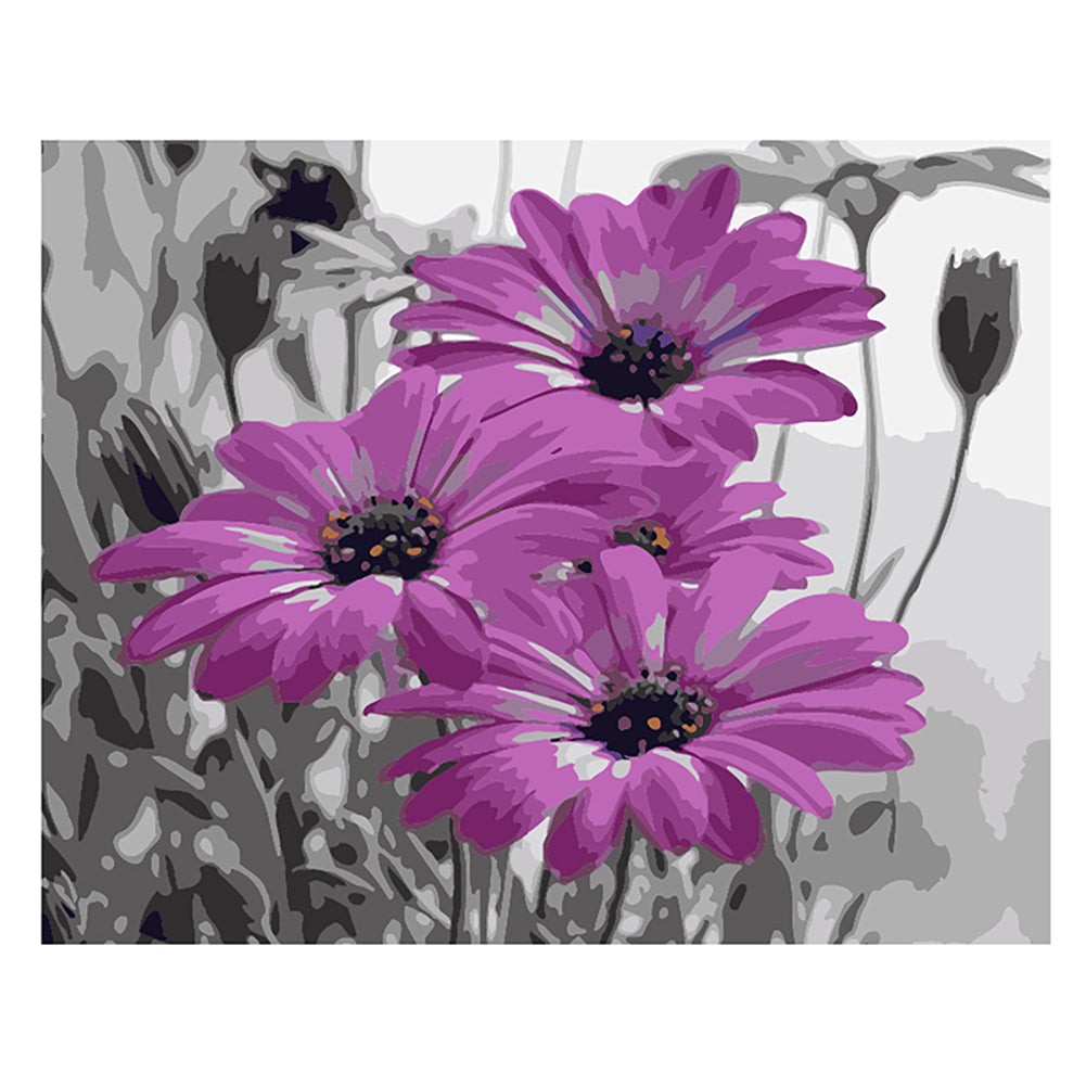 Purple Daisies - 40x50 cm paint by numbers kit