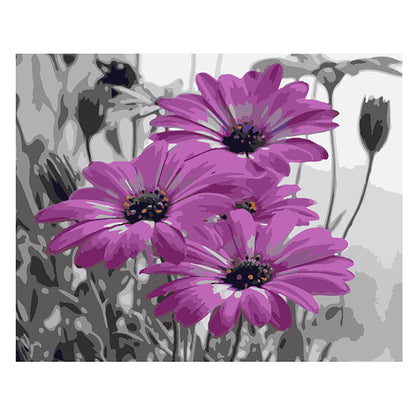 Purple Daisies - 40x50 cm paint by numbers kit