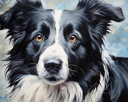 Snowy Border Collie