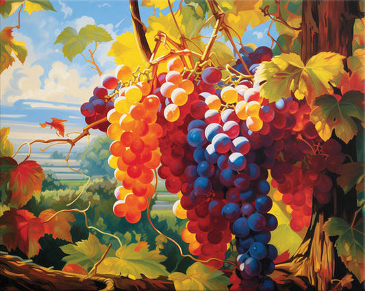 Vineyard Grapes at Golden Hour