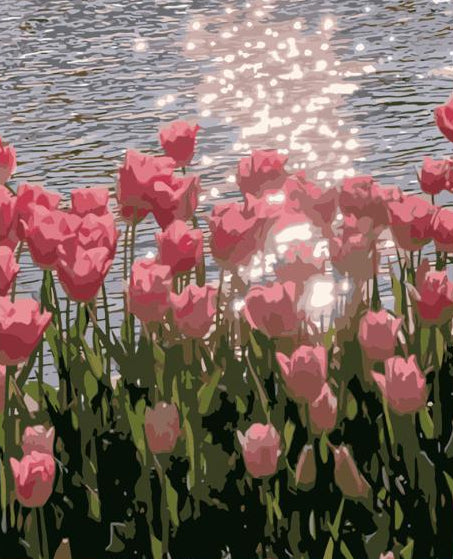 pink tulips by water