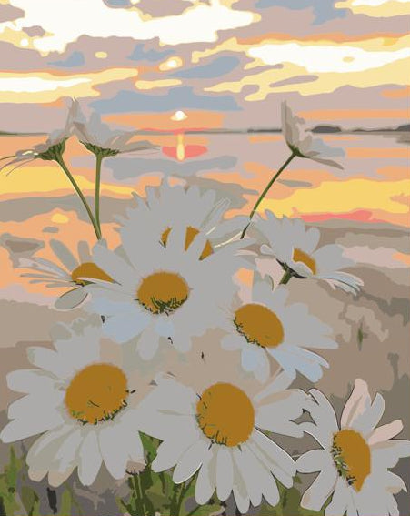 daisies with a sunset landscape