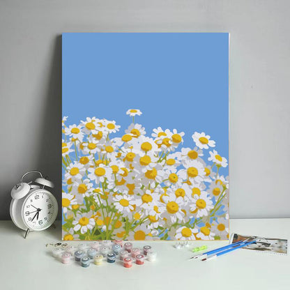 Daisy Field Under Blue Sky - 40x50 cm paint by numbers kit