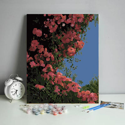 Rose Canopy Sky View - 40x50 cm paint by numbers kit