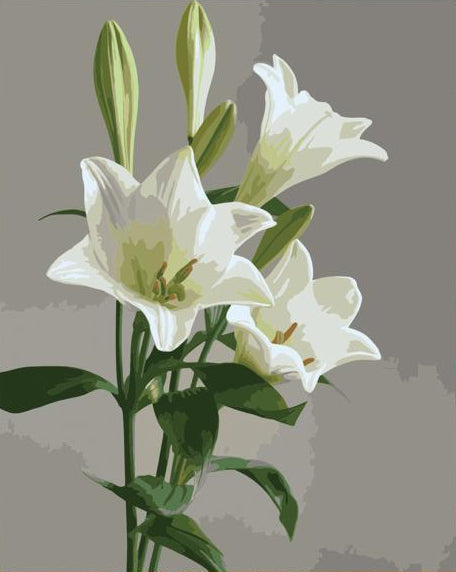 Painting of white lilies on a gray background
